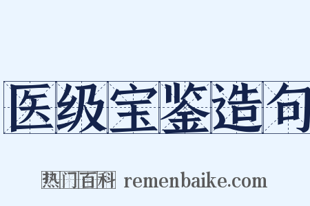 医级宝鉴造句是什么意思的图片